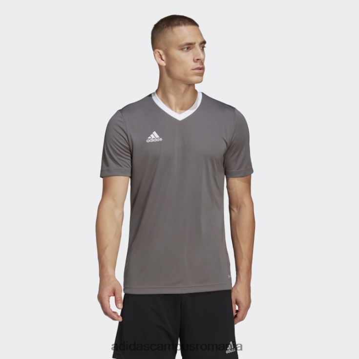 adidas campus romania tricou gri entrada 22 adidas bărbați gri J266N213575