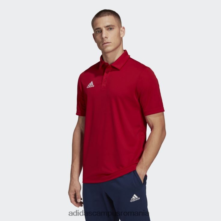 adidas campus romania tricou polo entrada 22 rosu bărbați roșu J266N214270