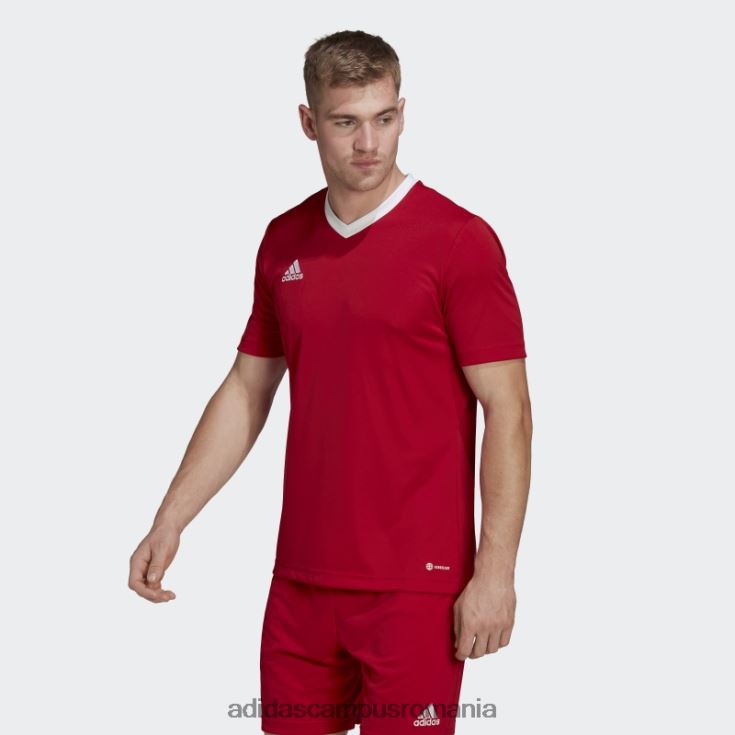 adidas campus romania tricou roșu entrada 22 adidas bărbați roșu J266N213821