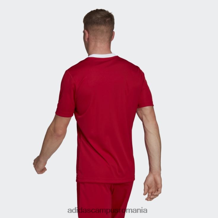 adidas campus romania tricou roșu entrada 22 adidas bărbați roșu J266N213821