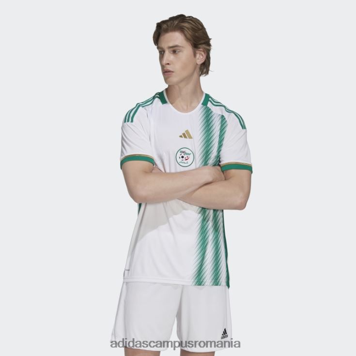 adidas campus romania tricoul alb algerii 22 acasă bărbați alb/verde intens J266N213924