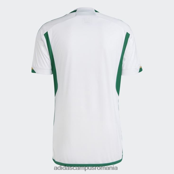 adidas campus romania tricoul alb algerii 22 acasă bărbați alb/verde intens J266N213924