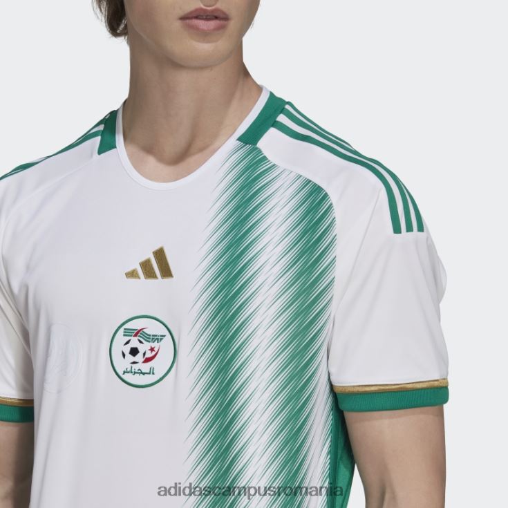 adidas campus romania tricoul alb algerii 22 acasă bărbați alb/verde intens J266N213924