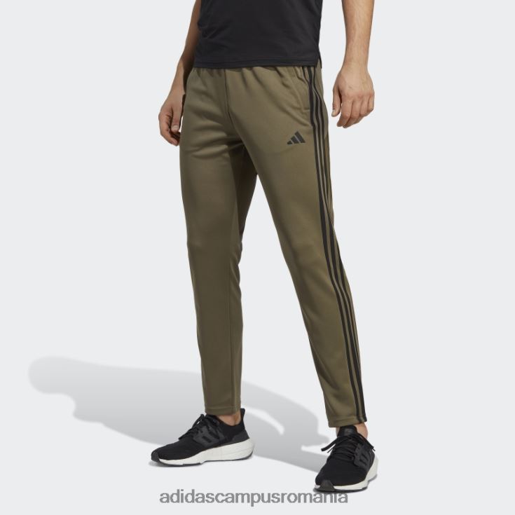 adidas campus romania Train essentials pantaloni de jogging de antrenament cu 3 dungi olive adidas bărbați măsliniu/negru J266N213242