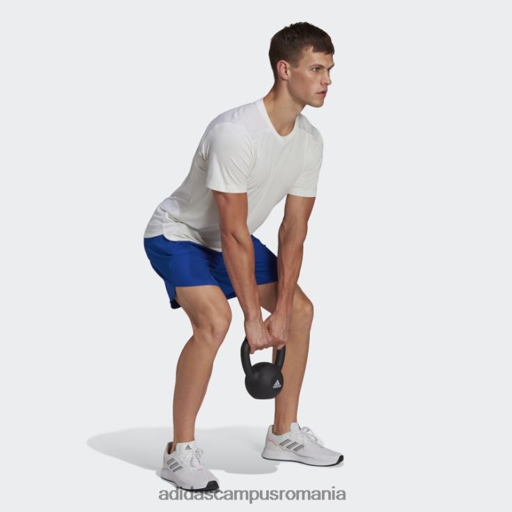 adidas campus romania albastru regal conceput pentru pantaloni scurți adidas bărbați albastru regal J266N27245