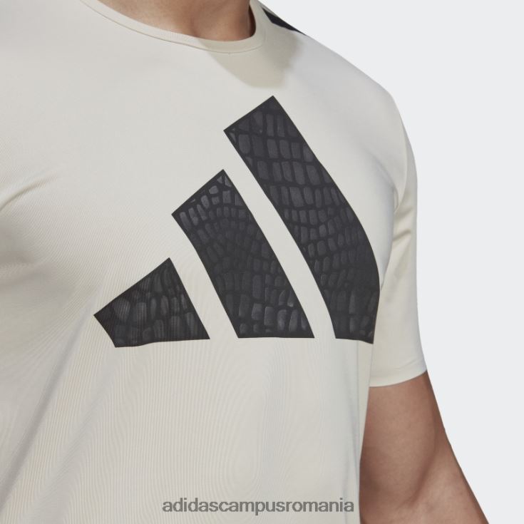 adidas campus romania cel mai bun antrenament tricou moda aluminiu bărbați aluminiu J266N214618