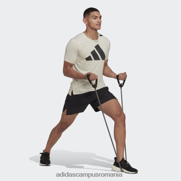 adidas campus romania cele mai bune pantaloni scurți de antrenament fashion negru bărbați negru J266N21484