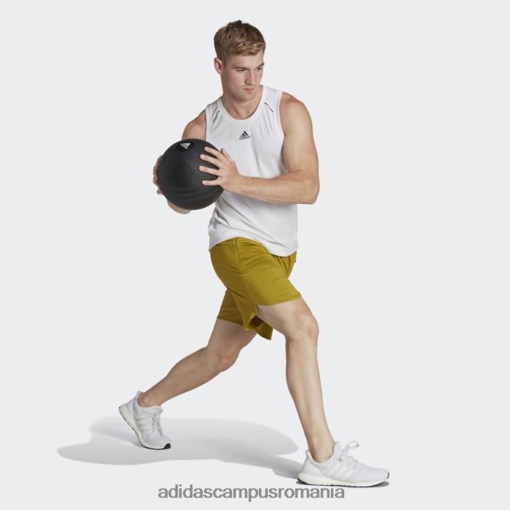 adidas campus romania olive concepute pentru antrenament căldură.rdy hiit pantaloni scurți bărbați măsline J266N27139