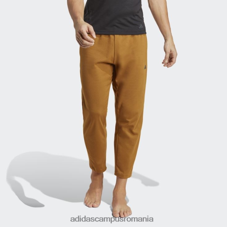adidas campus romania pantaloni de antrenament de bază yoga bronz bărbați bronz/carbon J266N25294