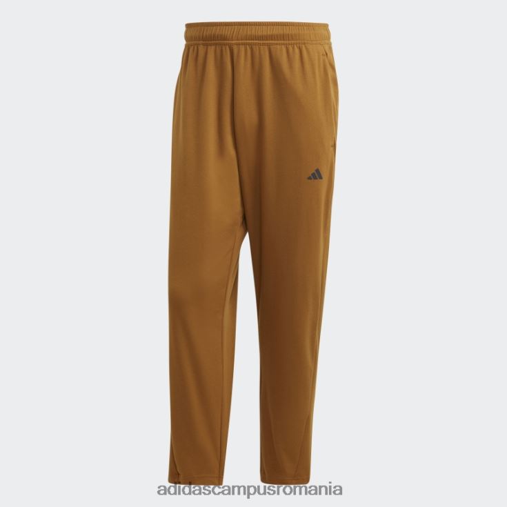 adidas campus romania pantaloni de antrenament de bază yoga bronz bărbați bronz/carbon J266N25294