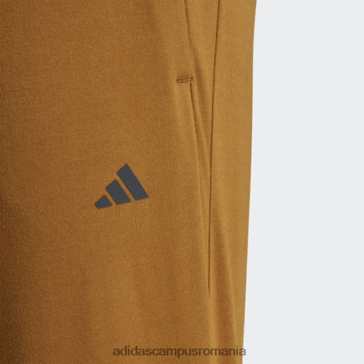 adidas campus romania pantaloni de antrenament de bază yoga bronz bărbați bronz/carbon J266N25294
