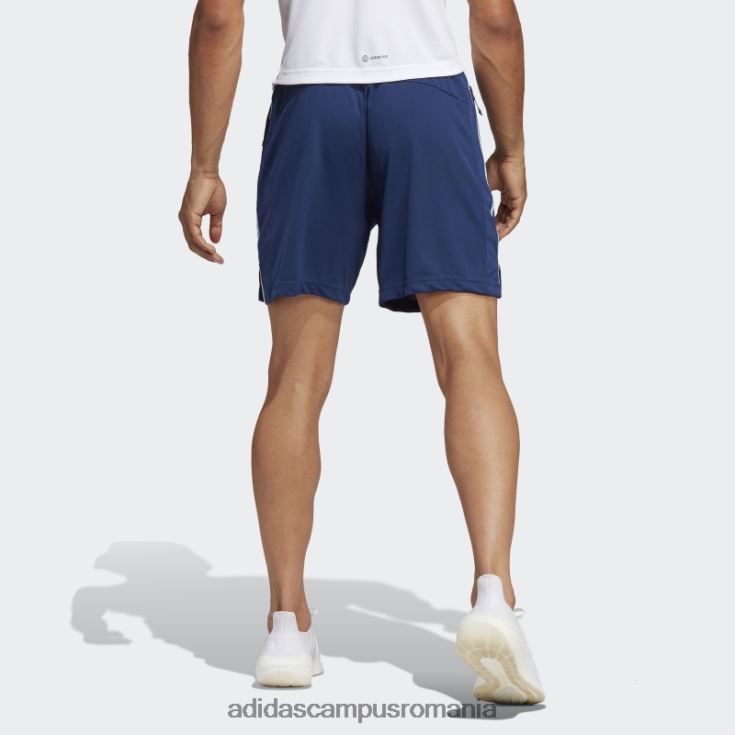 adidas campus romania pantaloni scurți albastru de bază pentru antrenament bărbați albastru/transparent J266N21132