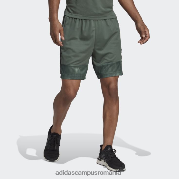 adidas campus romania pantaloni scurți de antrenament cu imprimeu de cretă aeroready green oxide adidas bărbați oxid verde/negru J266N214673
