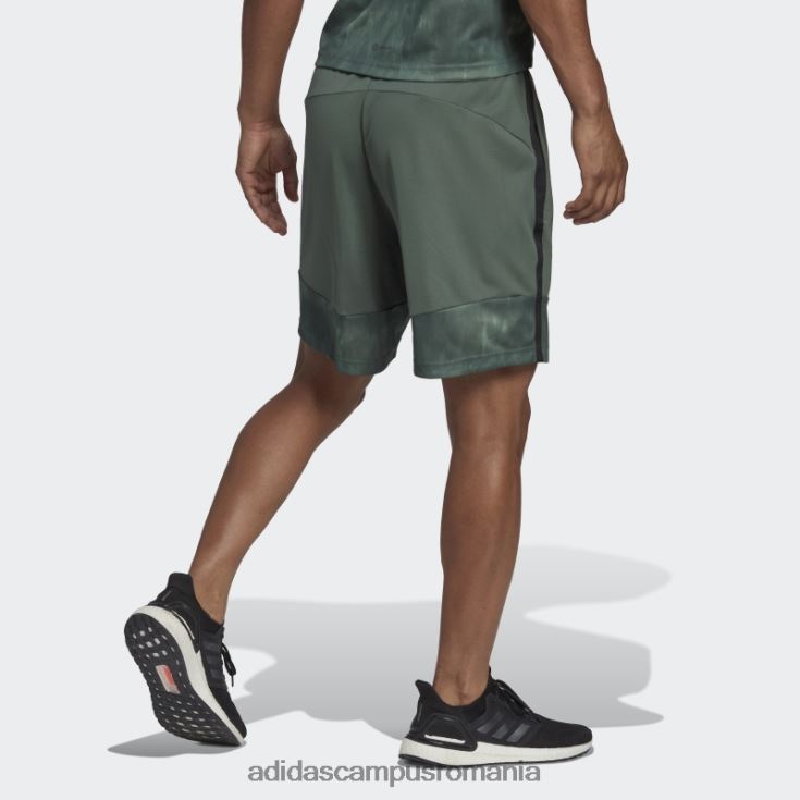 adidas campus romania pantaloni scurți de antrenament cu imprimeu de cretă aeroready green oxide adidas bărbați oxid verde/negru J266N214673
