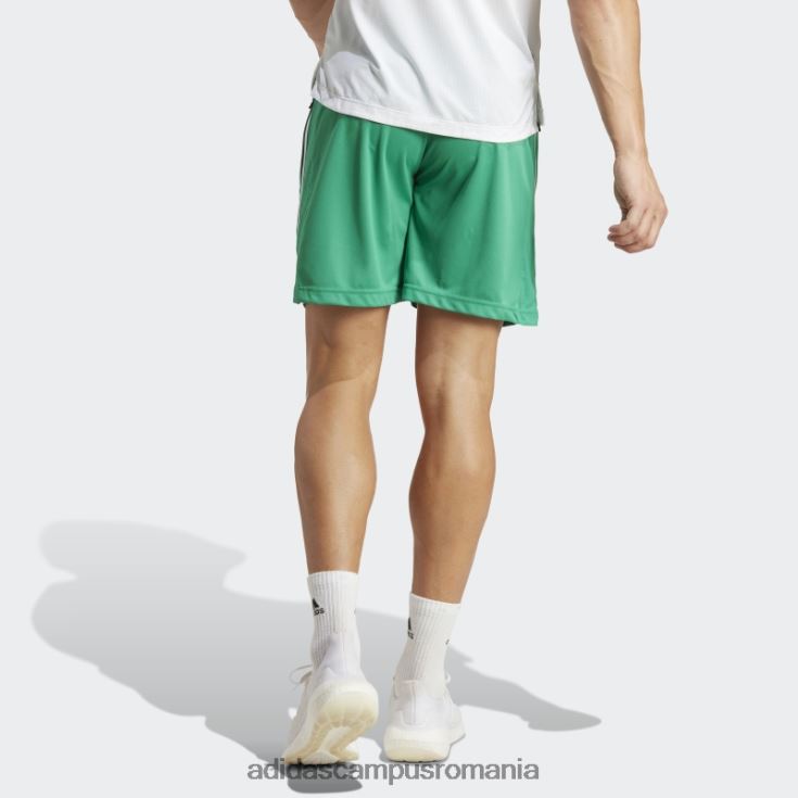 adidas campus romania pantaloni scurți de bază de antrenament curte verde bărbați verde curte/alb/transparent J266N25384