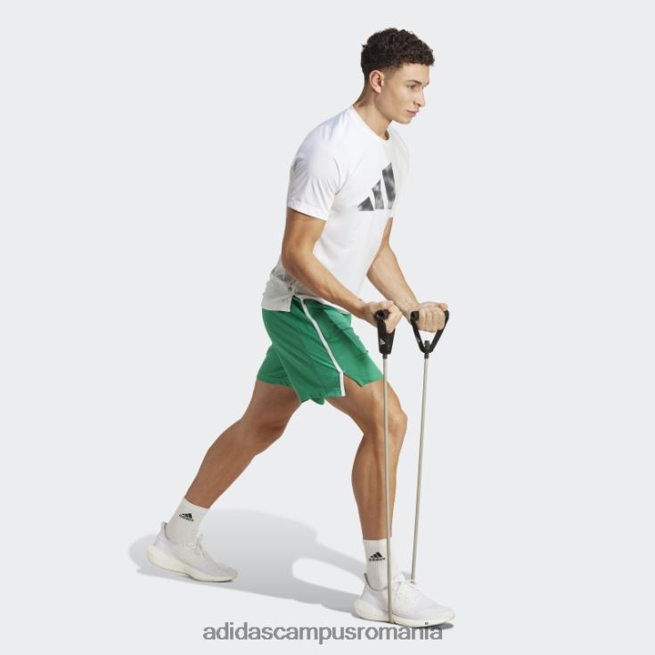 adidas campus romania pantaloni scurți de bază de antrenament curte verde bărbați verde curte/alb/transparent J266N25384