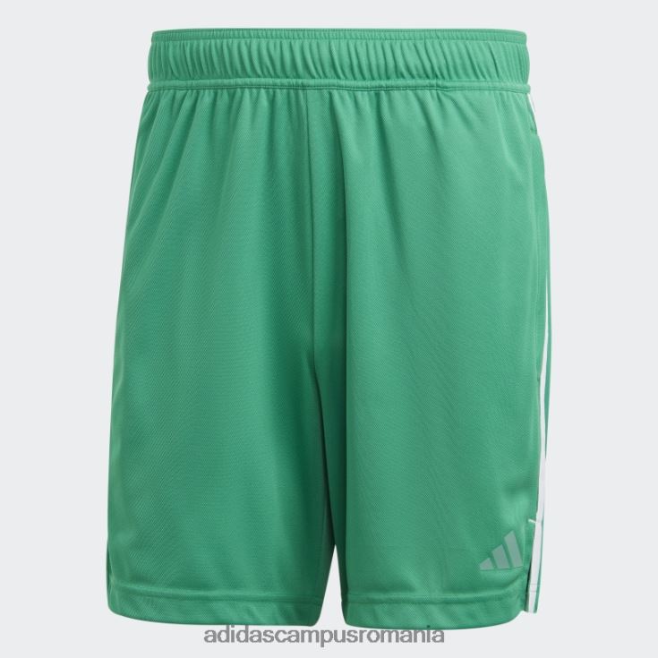 adidas campus romania pantaloni scurți de bază de antrenament curte verde bărbați verde curte/alb/transparent J266N25384