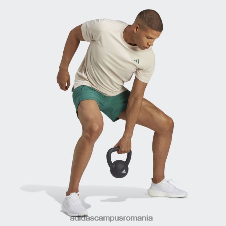 adidas campus romania pantaloni scurți verzi pentru club sportiv adidas bărbați verde J266N26435