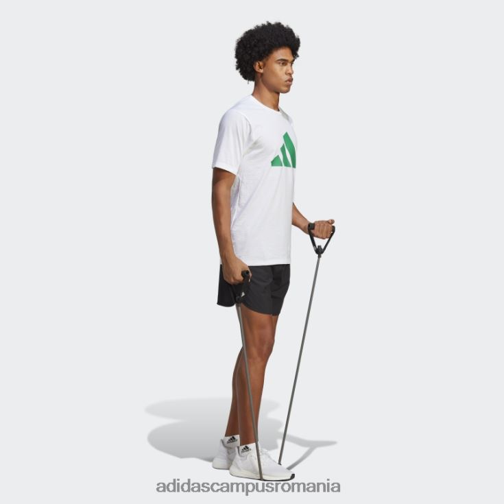 adidas campus romania tren essentials feelready logo tricou de antrenament alb bărbați alb/verde curte J266N24940