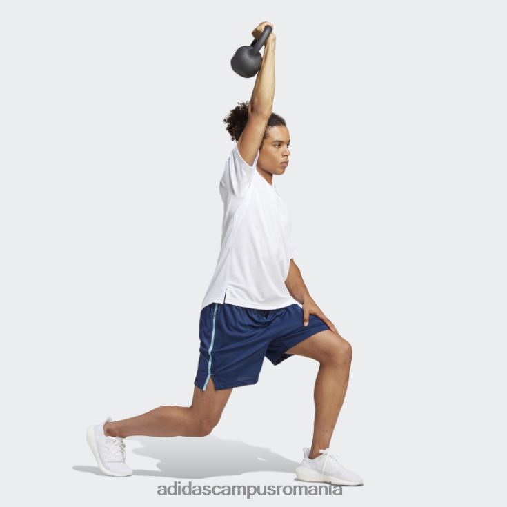 adidas campus romania tricou de bază pentru antrenament alb bărbați alb/albastru/transparent J266N25990