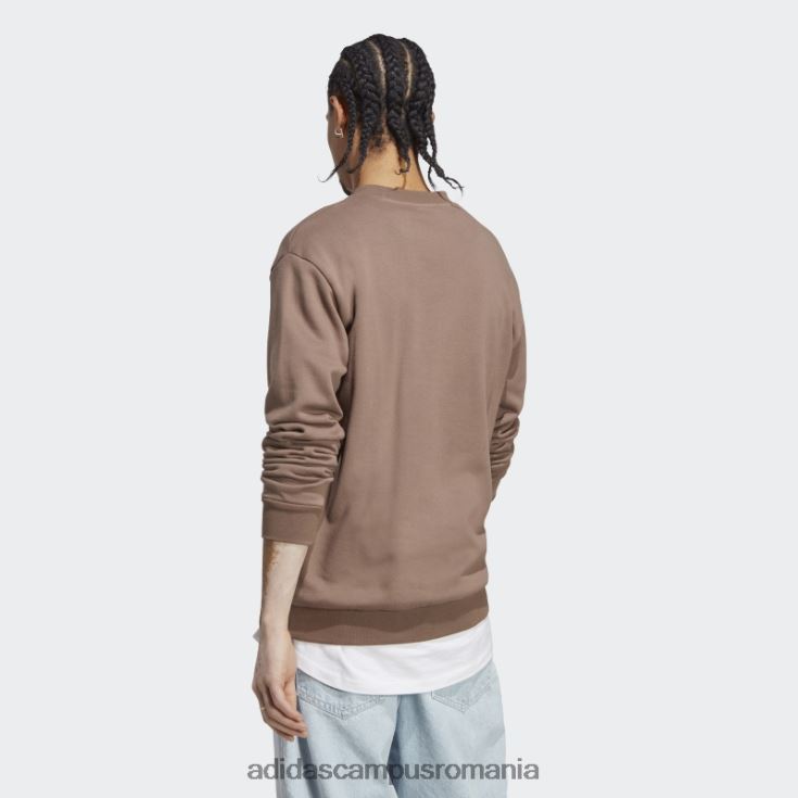 adidas campus romania grafică monogram crew hanorac pământ bărbați Pământ J266N213484