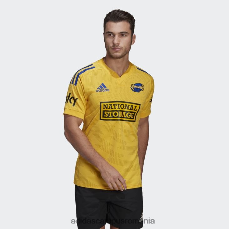 adidas campus romania aur uragane rugby replica tricou acasă bărbați aur J266N214812