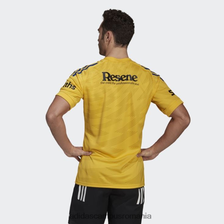adidas campus romania aur uragane rugby replica tricou acasă bărbați aur J266N214812
