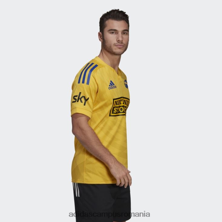 adidas campus romania aur uragane rugby replica tricou acasă bărbați aur J266N214812