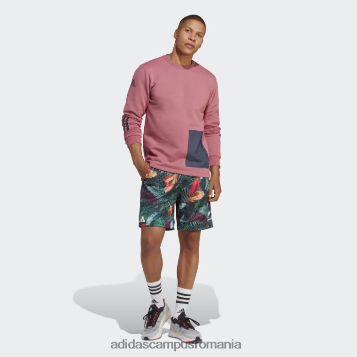 adidas campus romania hanorac roz all blacks rugby lifestyle crewgate bărbați roz/marine J266N213966