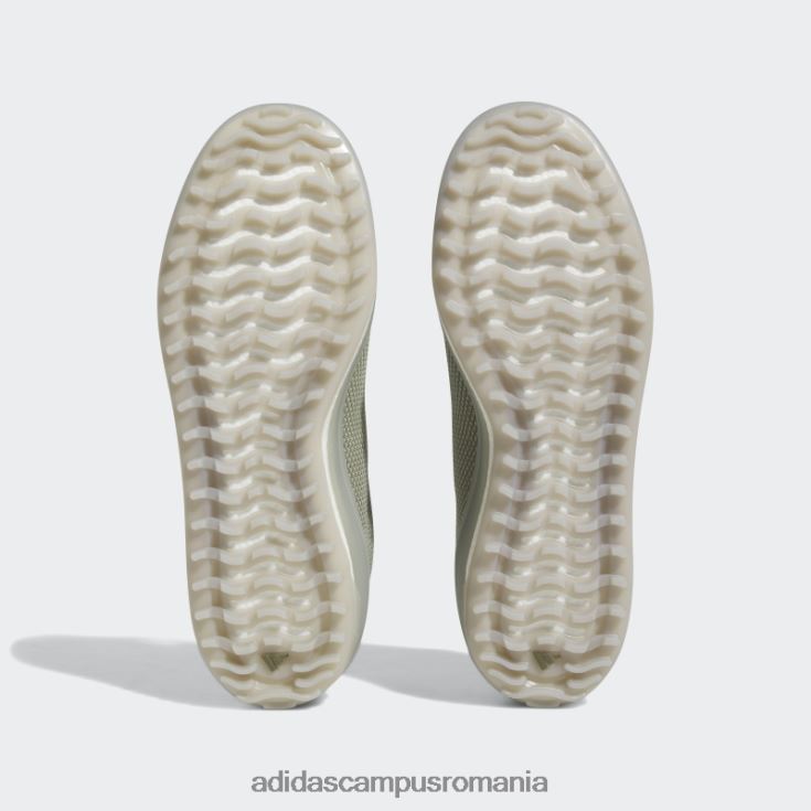 adidas campus romania pantofi de golf cu pietriș argintiu fără vârfuri 1 bărbați pietriș/măslin argintiu J266N24294