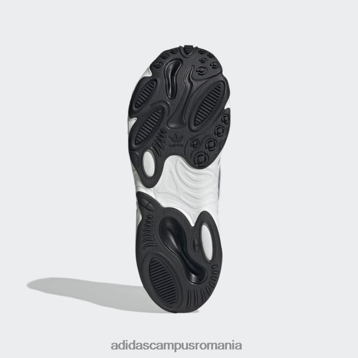 adidas campus romania pantofi regali oznova bărbați regal/negru/alb J266N24103