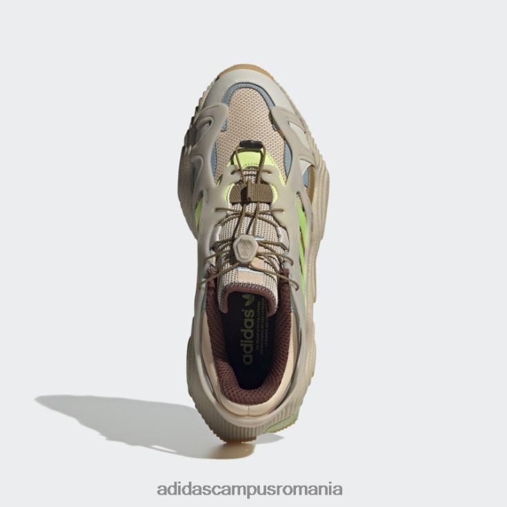 adidas campus romania pantofi roverend adventure blush bărbați fard de obraz/maro/aluminiu J266N2554