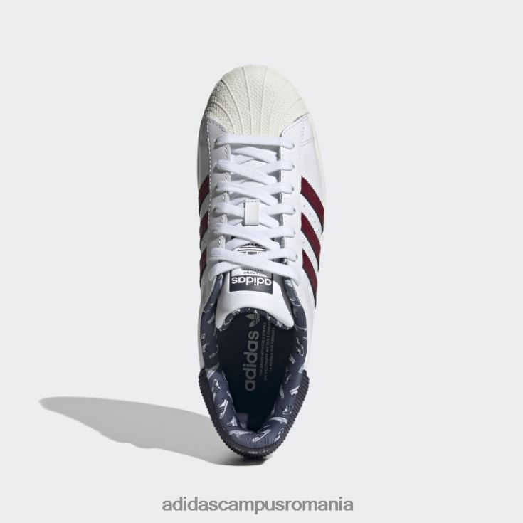 adidas campus romania pantofi superstar bleumarin bărbați alb/visiniu/marin J266N24552