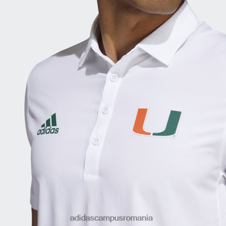 adidas campus romania tricou polo antrenori de stadion verde închis bărbați alb/verde închis/ncaa-mia J266N220222