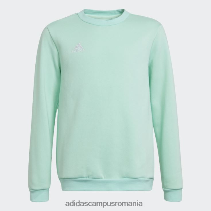 adidas campus romania entrada 22 hanorac mint copii mentă J266N219064