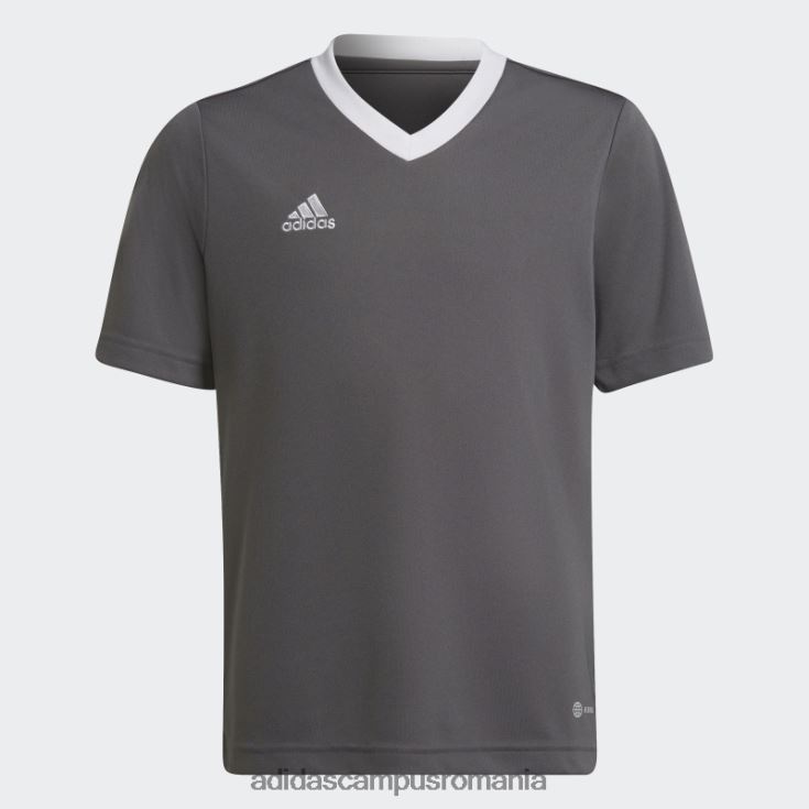 adidas campus romania entrada 22 tricou gri copii gri J266N218362