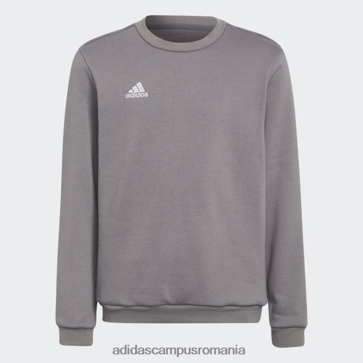 adidas campus romania hanorac gri entrada 22 adidas copii gri J266N218537