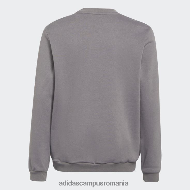 adidas campus romania hanorac gri entrada 22 adidas copii gri J266N218537