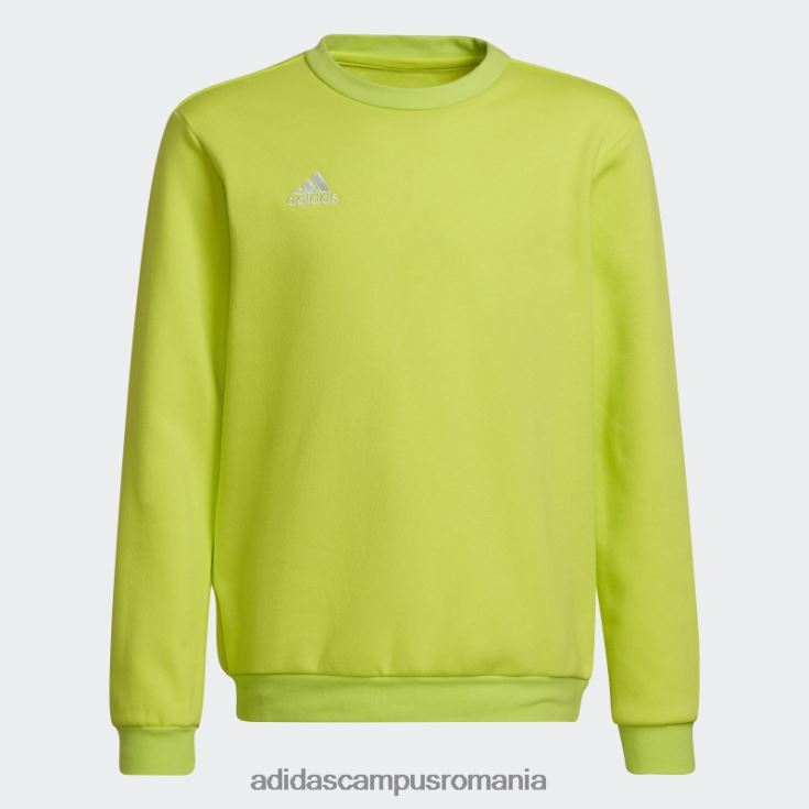 adidas campus romania hot entrada 22 hanorac sol galben adidas copii galben sol J266N218708