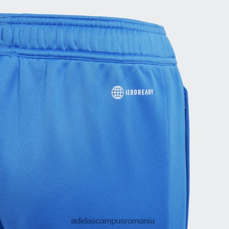 adidas campus romania royal fc bayern condivo 22 antrenament pantaloni de trening fashion copii regal J266N218749