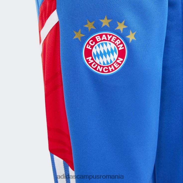 adidas campus romania royal fc bayern condivo 22 antrenament pantaloni de trening fashion copii regal J266N218749