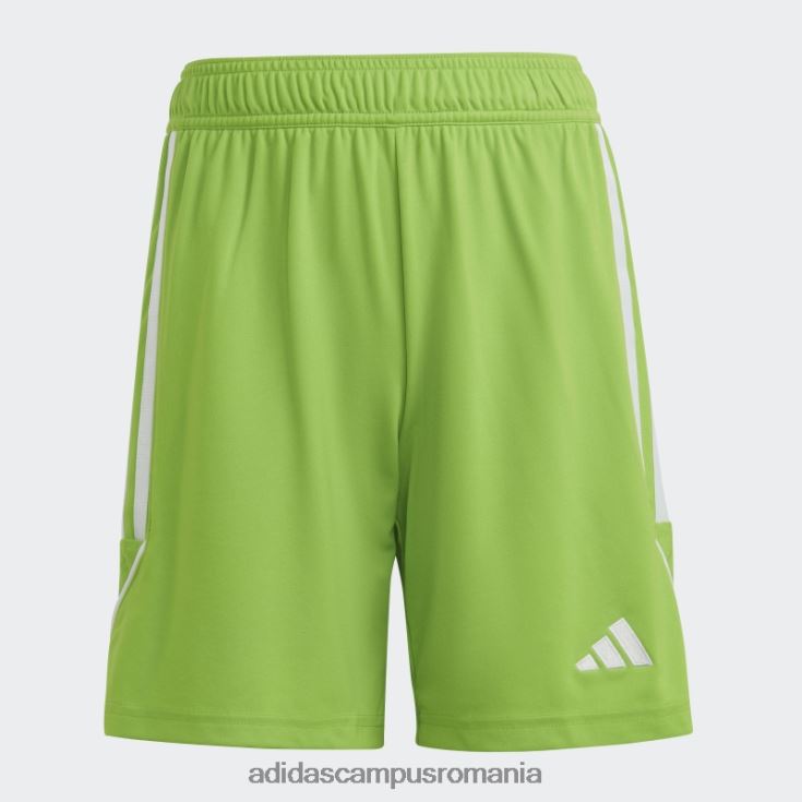adidas campus romania sol green2 tiro 23 league pantaloni scurți adidas copii sol verde2/alb J266N219053