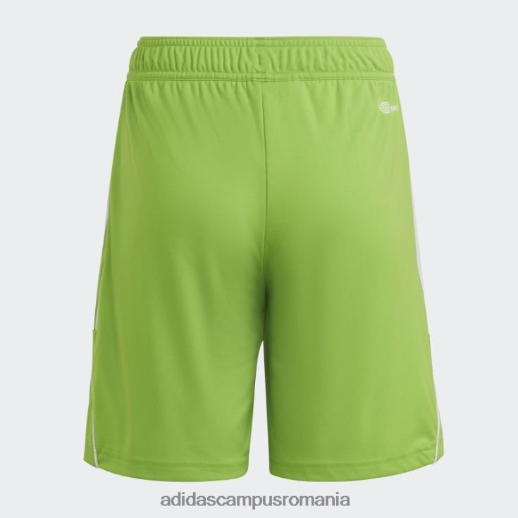 adidas campus romania sol green2 tiro 23 league pantaloni scurți adidas copii sol verde2/alb J266N219053