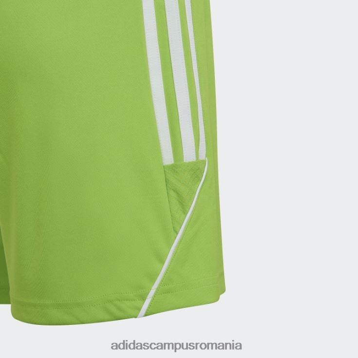 adidas campus romania sol green2 tiro 23 league pantaloni scurți adidas copii sol verde2/alb J266N219053