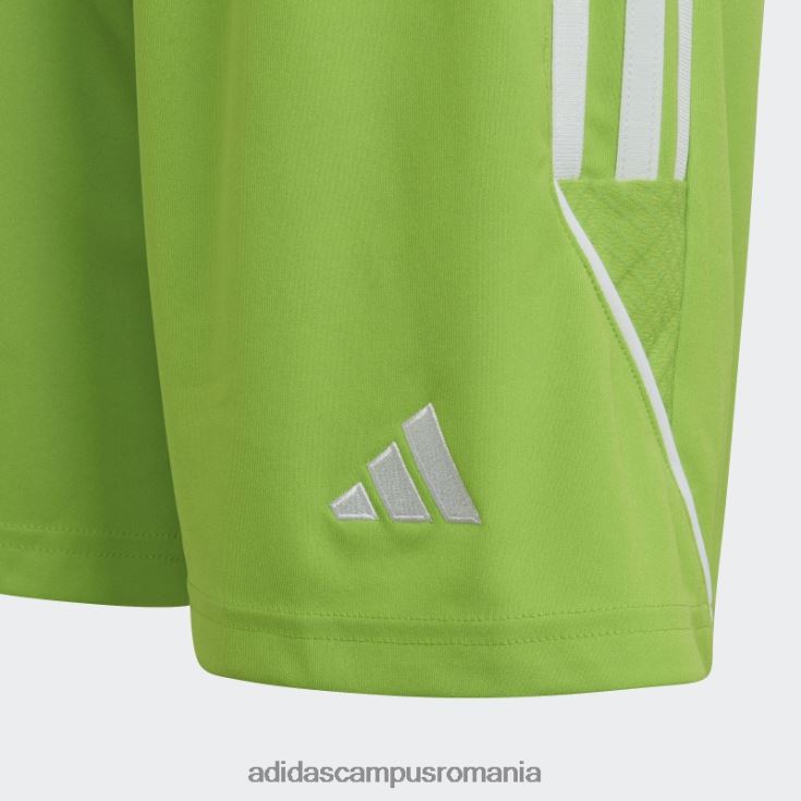 adidas campus romania sol green2 tiro 23 league pantaloni scurți adidas copii sol verde2/alb J266N219053