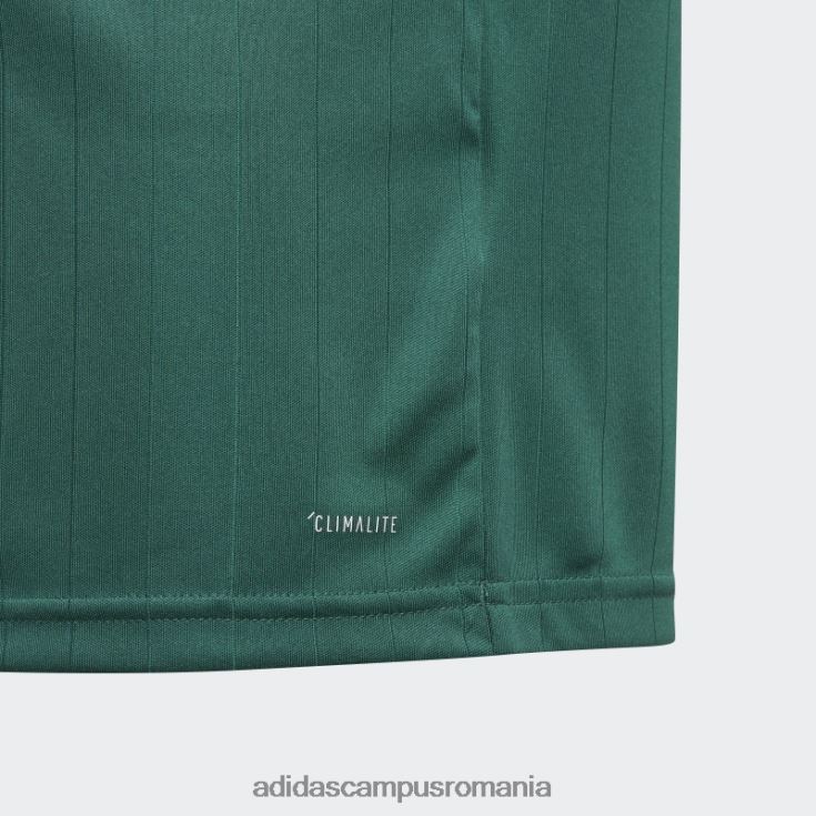 adidas campus romania tabela 18 tricou verde adidas copii verde/alb J266N219098