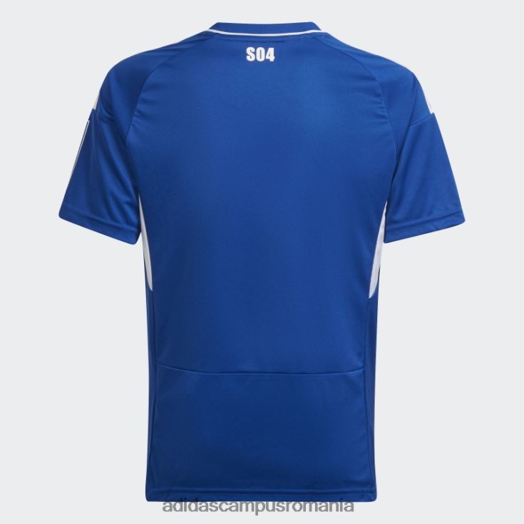 adidas campus romania tricou home adidas albastru regal fc schalke 04 22/23 copii albastru regal/alb J266N218699