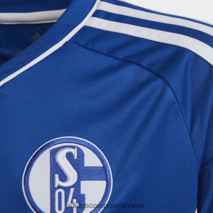 adidas campus romania tricou home adidas albastru regal fc schalke 04 22/23 copii albastru regal/alb J266N218699