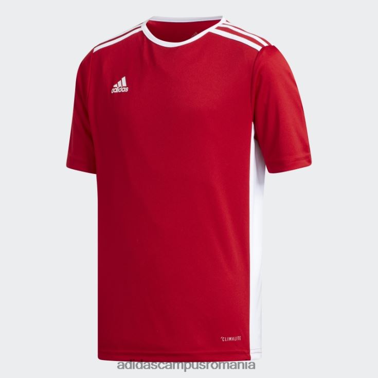 adidas campus romania tricou roșu de intrare copii rosu alb J266N211884