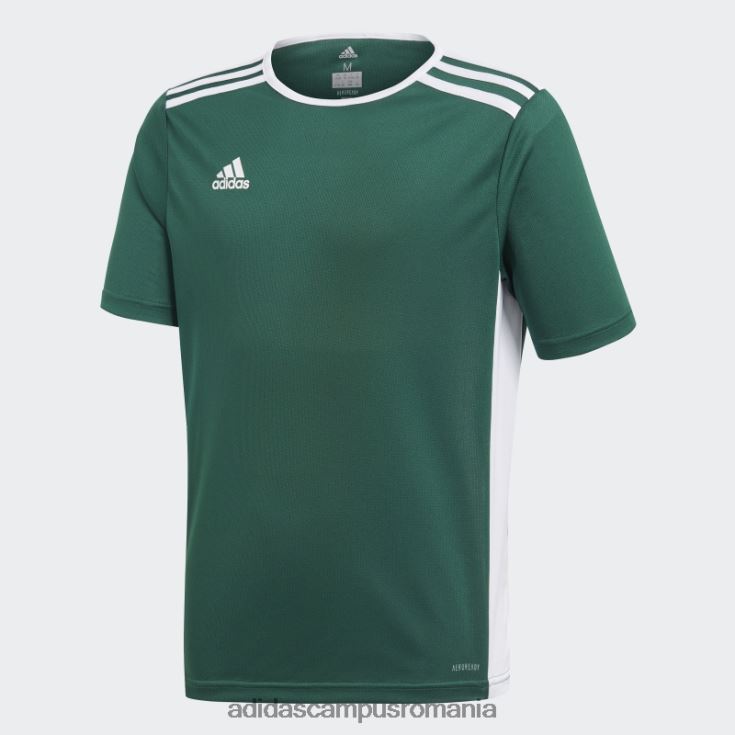 adidas campus romania tricou verde de intrare copii verde/alb J266N211746